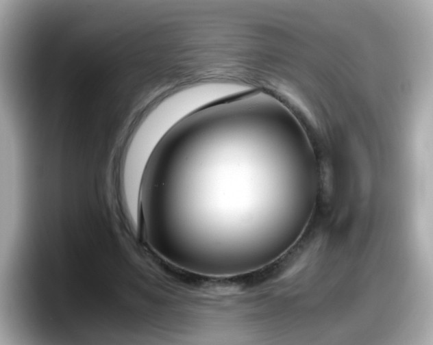 X0000098100491200804111025