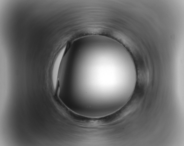 X0000098100493200804111025