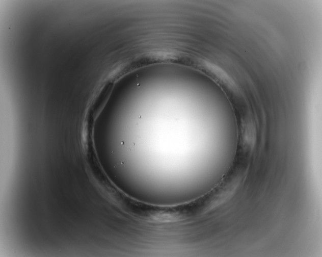 X0000098100494200804111025
