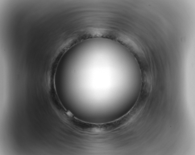 X0000098100496200804111025
