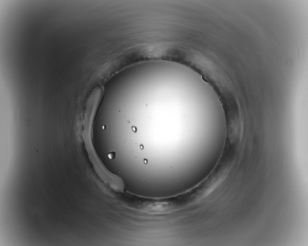 X0000098100497200804111025