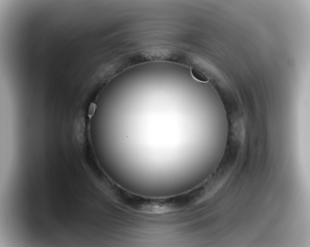 X0000098100498200804111025