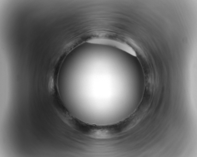 X0000098100500200804111025