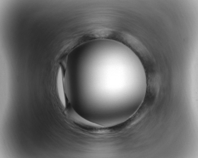 X0000098100501200804111025