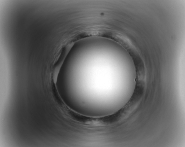 X0000098100503200804111025