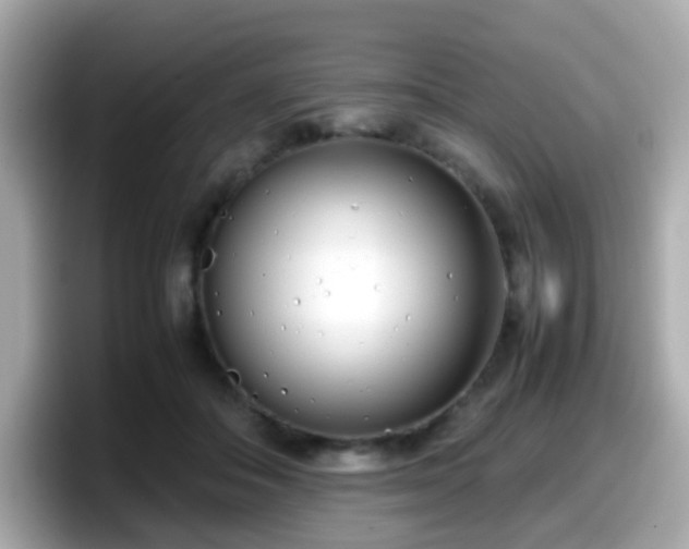 X0000098100506200804111025