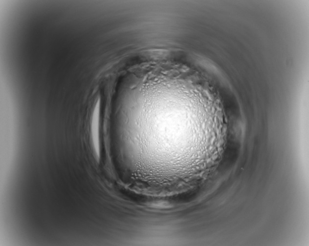 X0000098100507200804111025