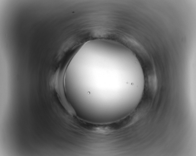 X0000098100508200804111025