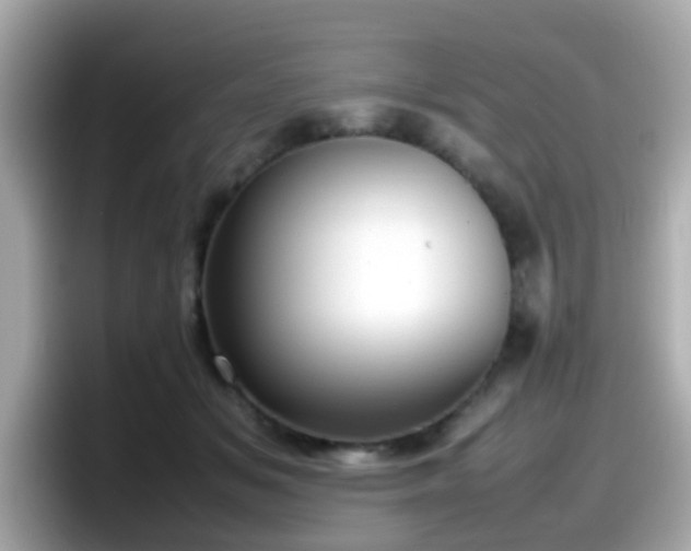 X0000098100509200804111025