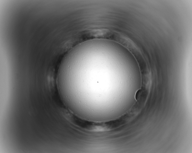 X0000098100510200804111025