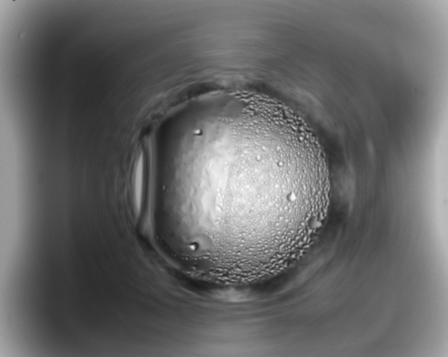 X0000098100511200804111025