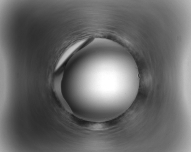 X0000098100513200804111025