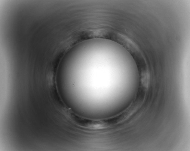 X0000098100514200804111025