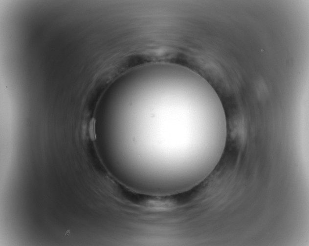 X0000098100515200804111025