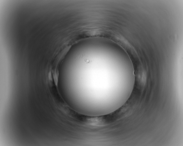 X0000098100516200804111025