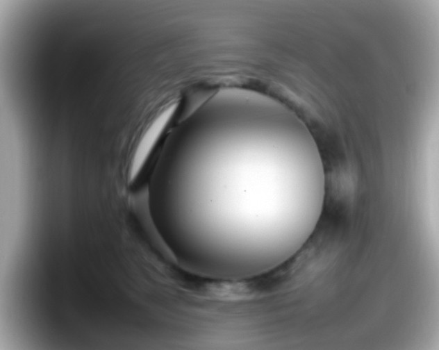 X0000098100517200804111025