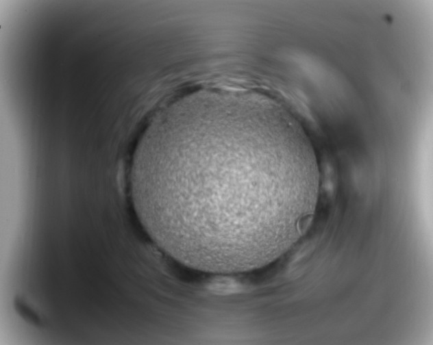 X0000098100519200804111025