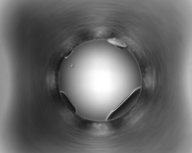 X0000098100520200804111025