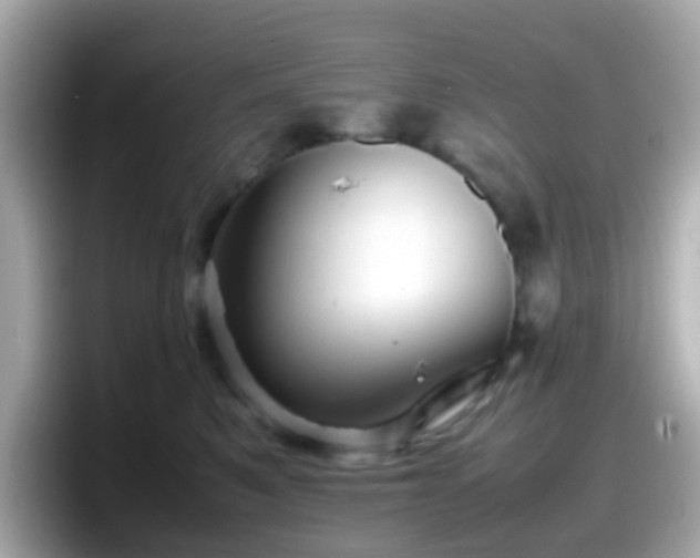 X0000098100521200804111025