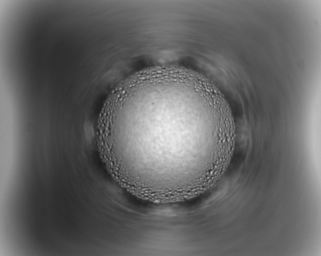 X0000098100523200804111025