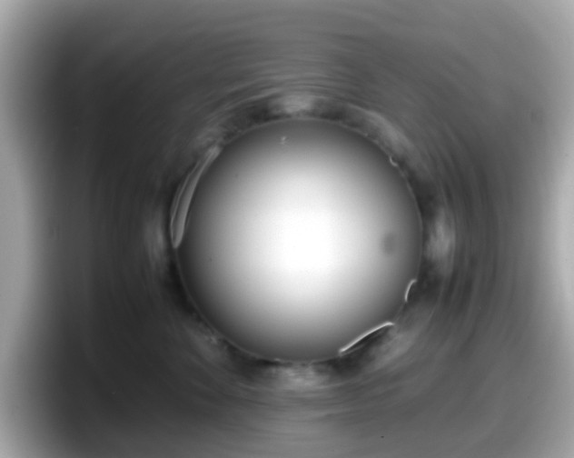 X0000098100524200804111025