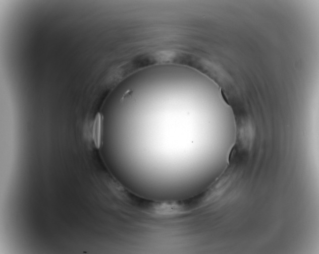 X0000098100525200804111025