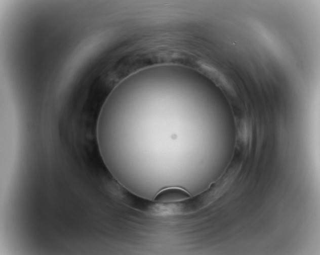 X0000098100526200804111025