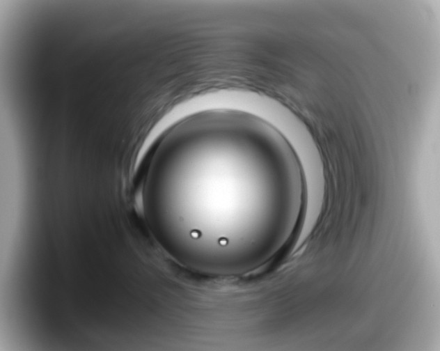 X0000098100528200804111025