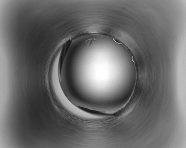 X0000098100530200804111024