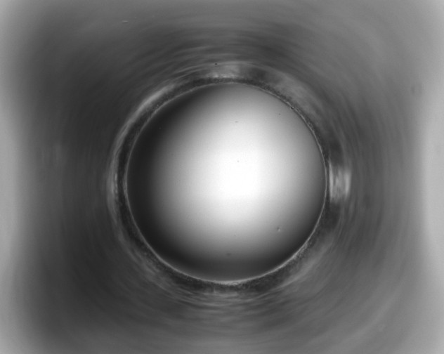 X0000098100531200804111024
