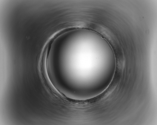 X0000098100532200804111024