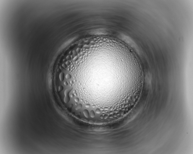 X0000098100533200804111024