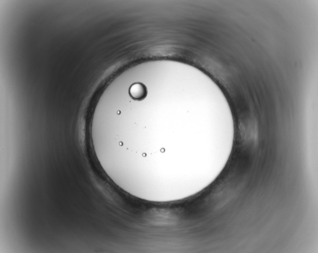X0000098100534200804111024