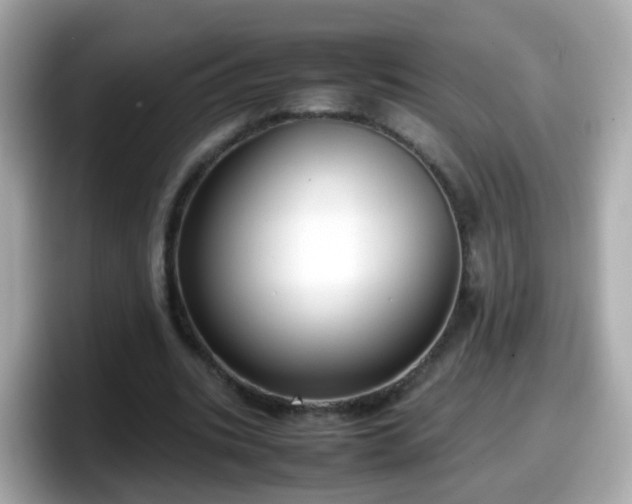 X0000098100535200804111024