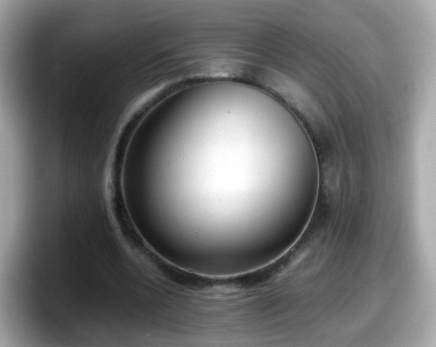 X0000098100536200804111024