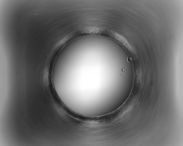 X0000098100538200804111024