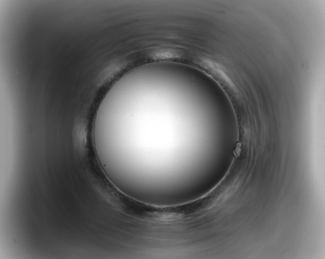 X0000098100539200804111025
