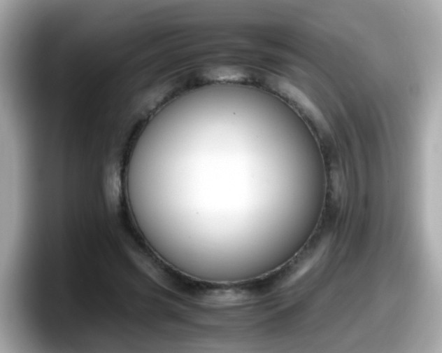 X0000098100541200804111025