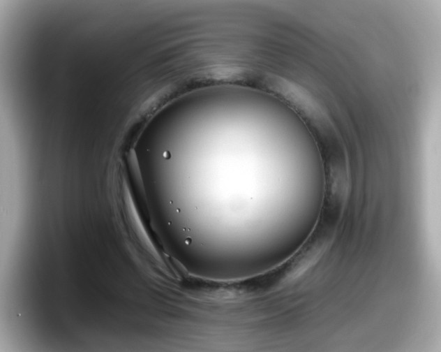 X0000098100542200804111025