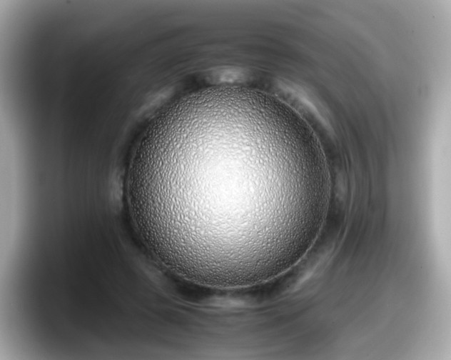 X0000098100545200804111025