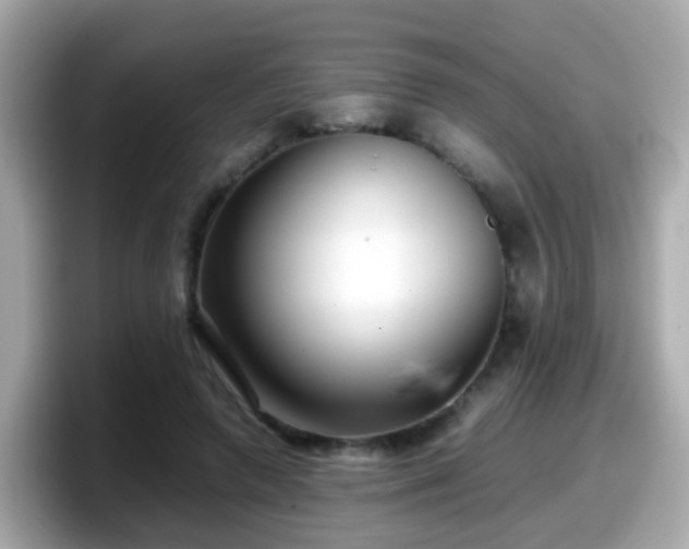 X0000098100546200804111025