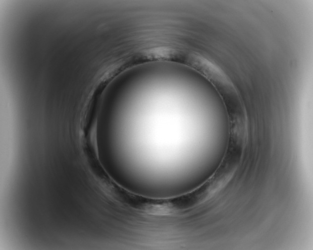 X0000098100548200804111025