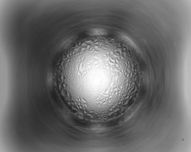 X0000098100549200804111025