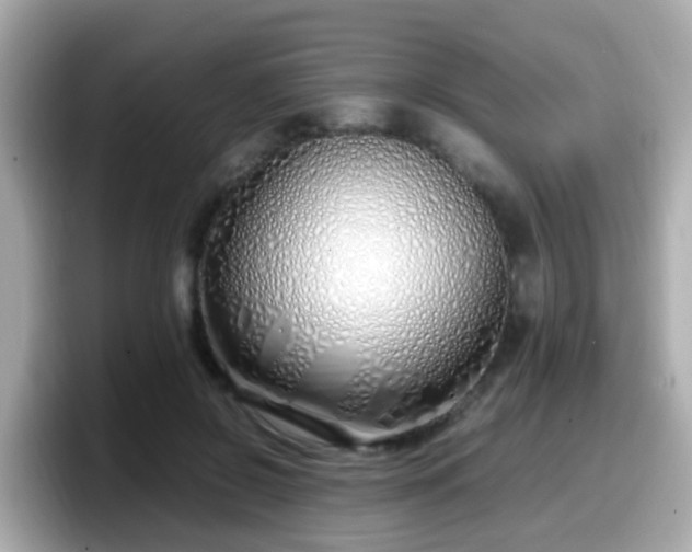 X0000098100550200804111025