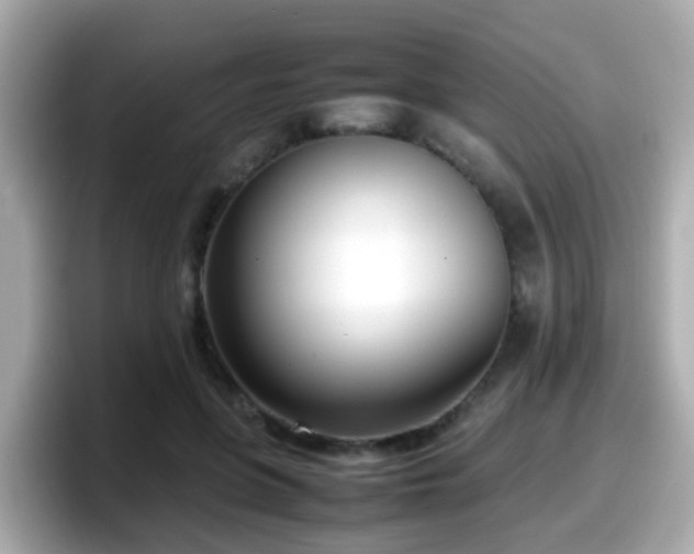 X0000098100551200804111025