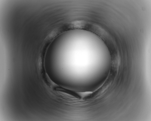 X0000098100552200804111025