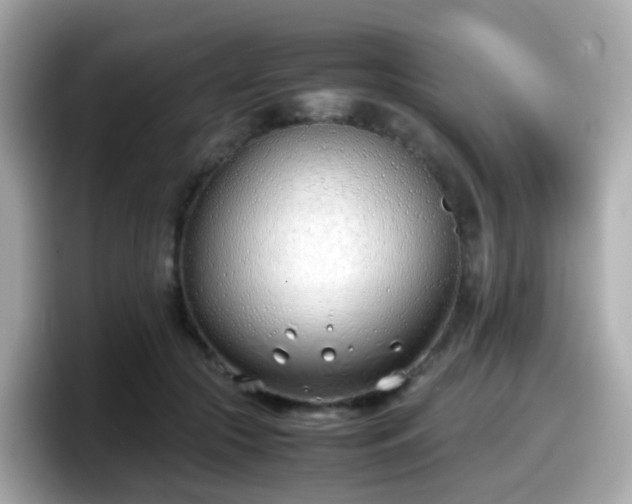 X0000098100553200804111025