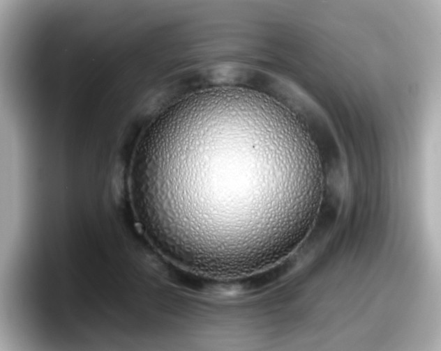 X0000098100554200804111025