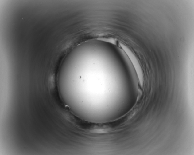 X0000098100556200804111025