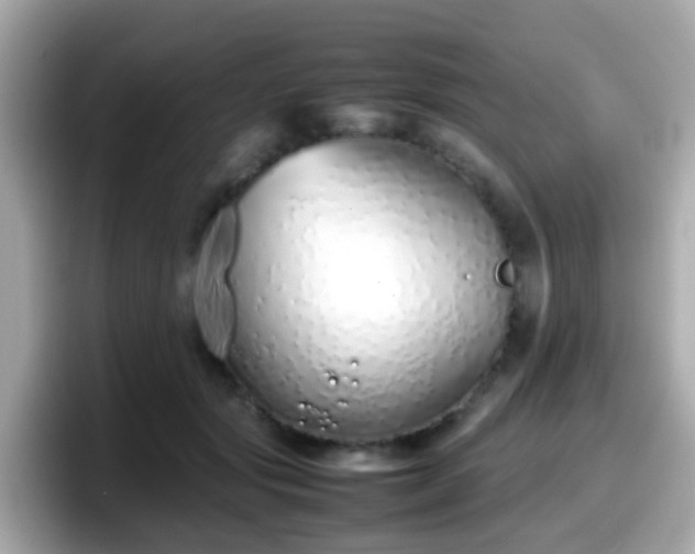 X0000098100557200804111025
